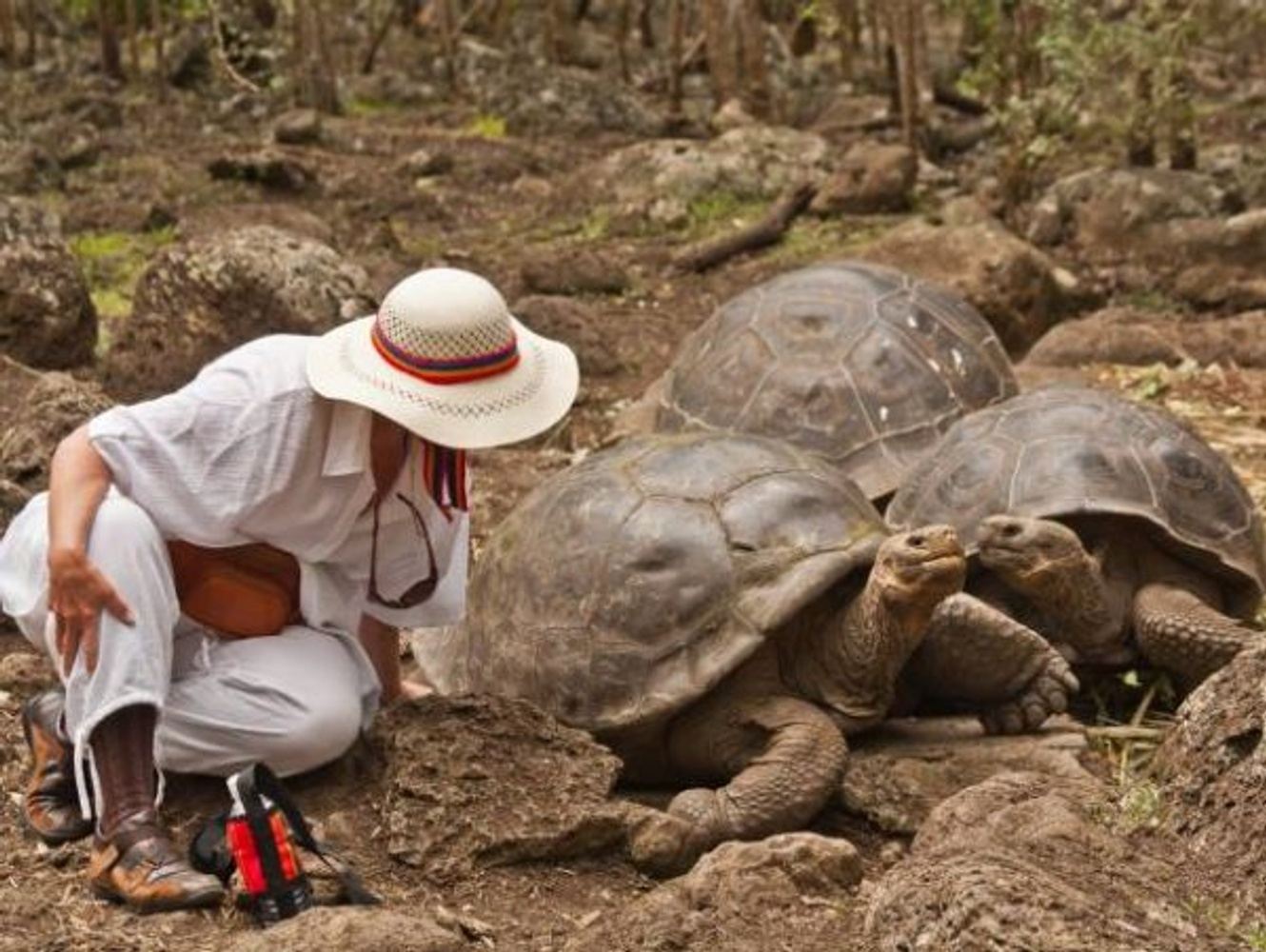 Galapagos Island Hopping 4 days, land base (Include single supplement)