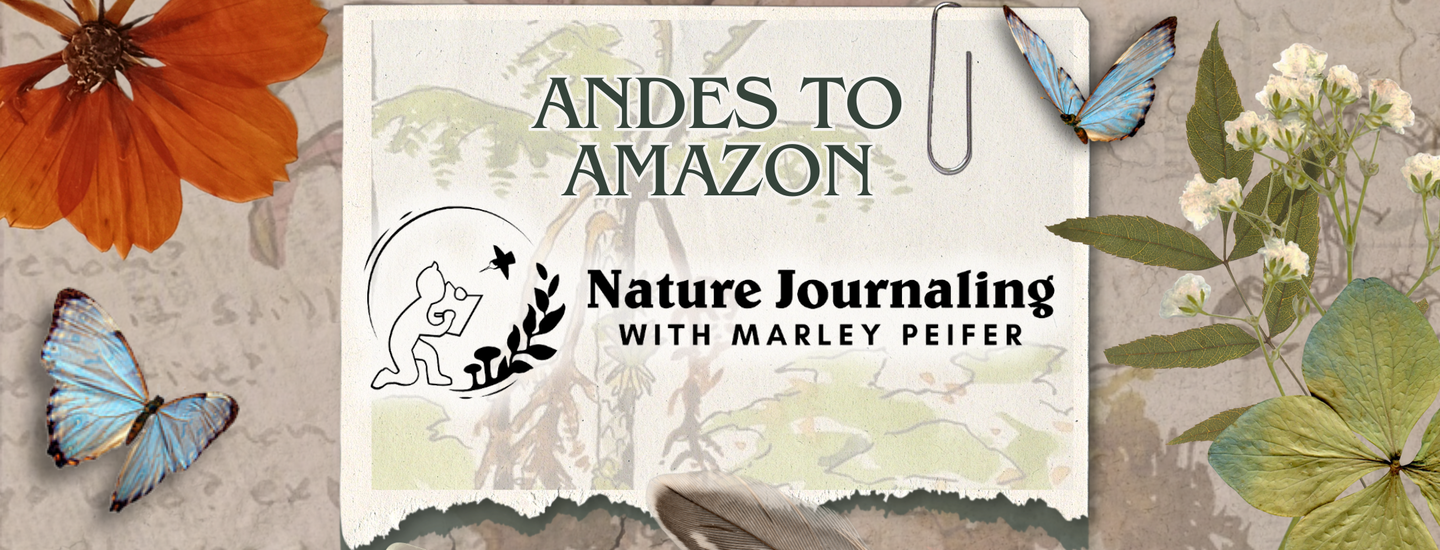 Andes to Amazon 2025 | Nature Journaling Adventure  with Marley Peifer