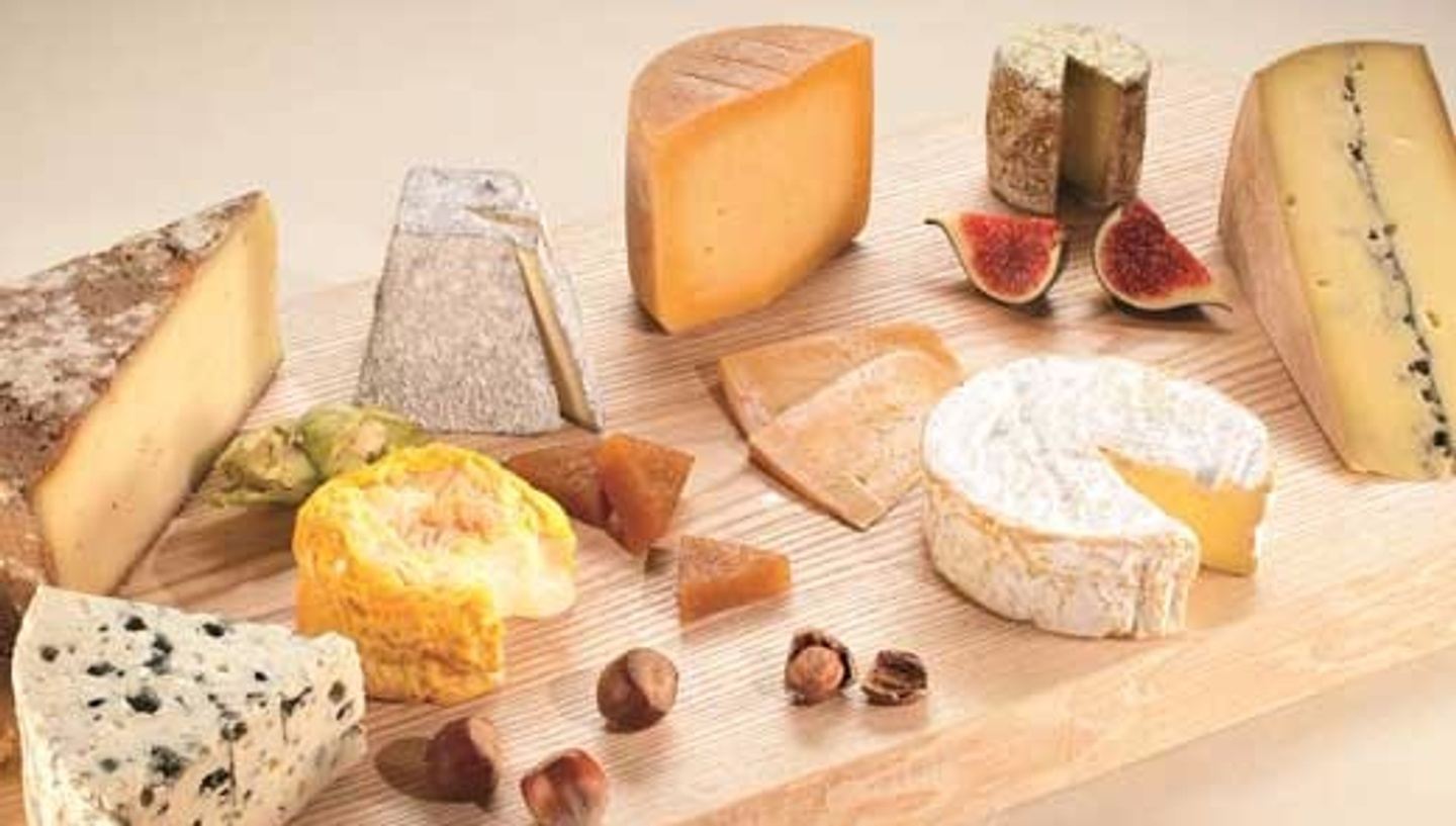 Backroads of French Cheese Country in Paris, Brie, and Picardie, France