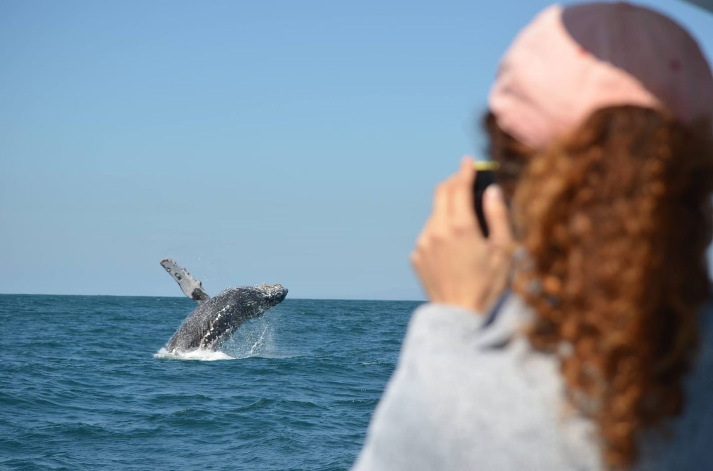 EXPEDICIÓN DE OBSERVACIÓN DE BALLENAS EN MAZATLÁN