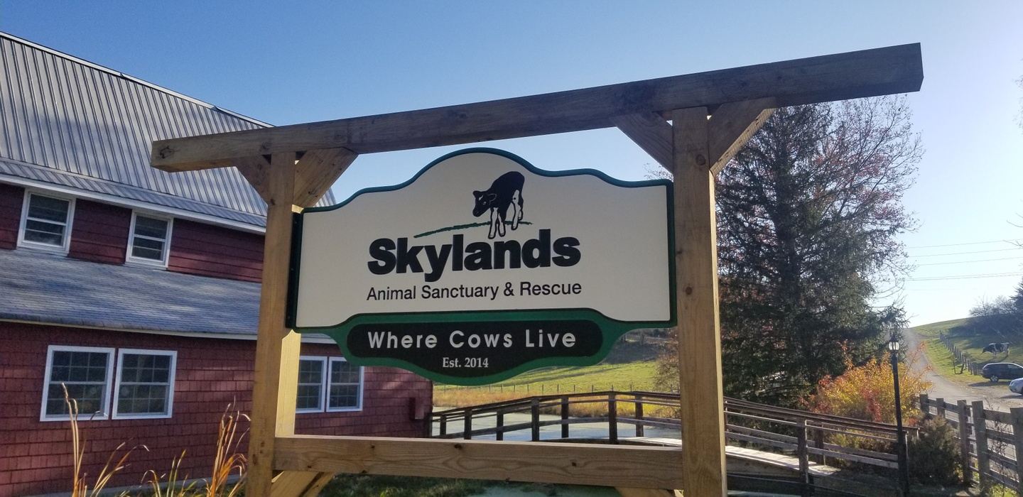 Skylands Animal Sanctuary & Rescue Benefit