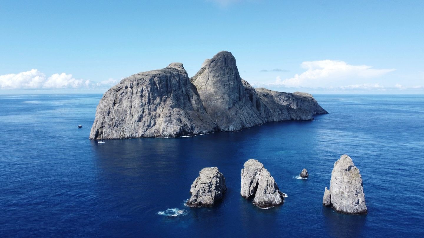 Malpelo - Sea Wolf October