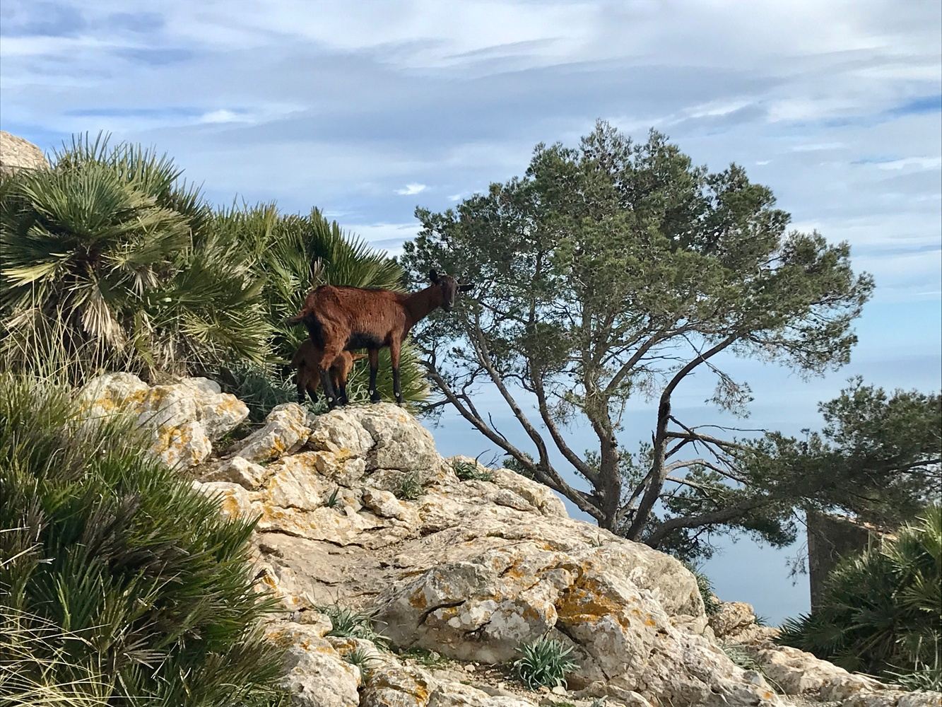 Day Hiking Adventure