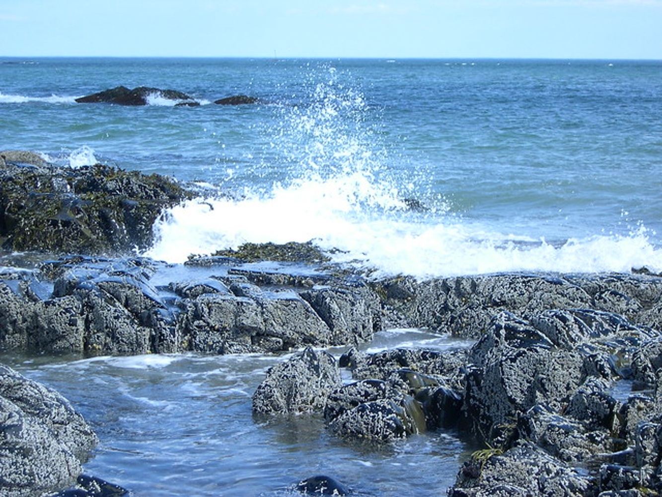 Kennebunkport and Lobster Bake in Kennebunkport