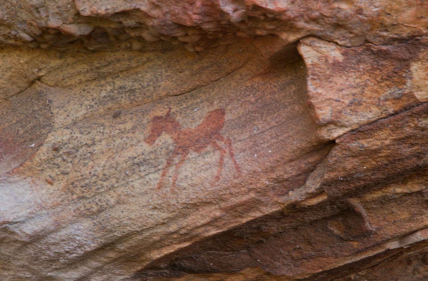 Stone-age San (Bushman) Rock Art  - a Day Trip from Cape Town