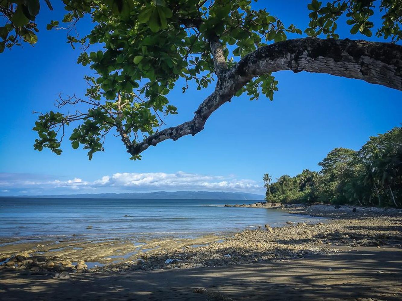 8 Days Forest & Ocean Front Yoga Adventure in Costa Rica