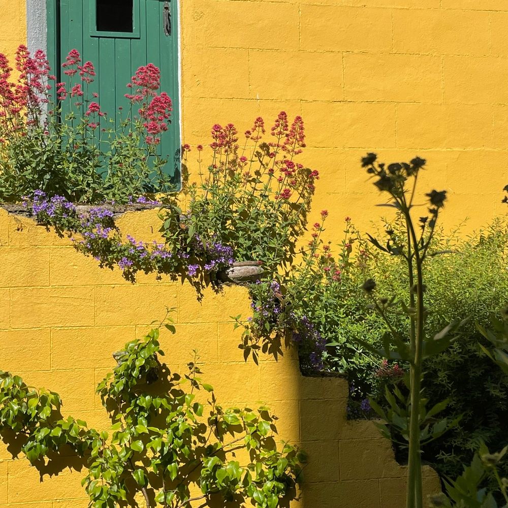 2024 Ireland Through the Maker's Lens with Yarn VT in Dublin, Ireland