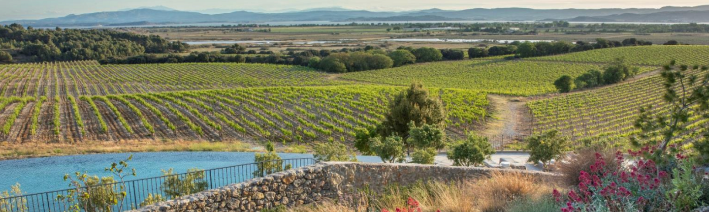 Wine & Wellness Retreat in the South of France