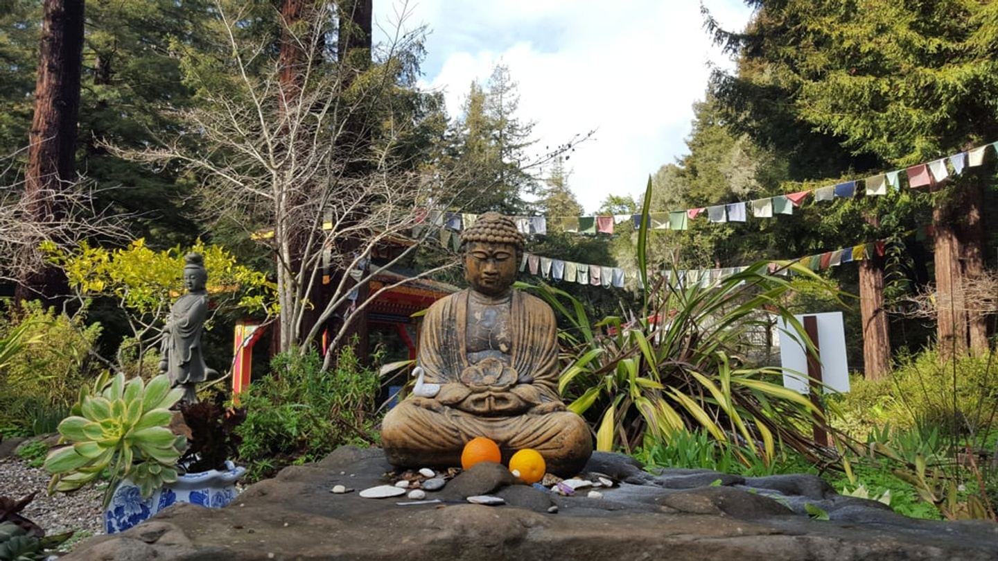 Yoga and Meditation Retreat, Santa Cruz Mountains in Land of Medicine