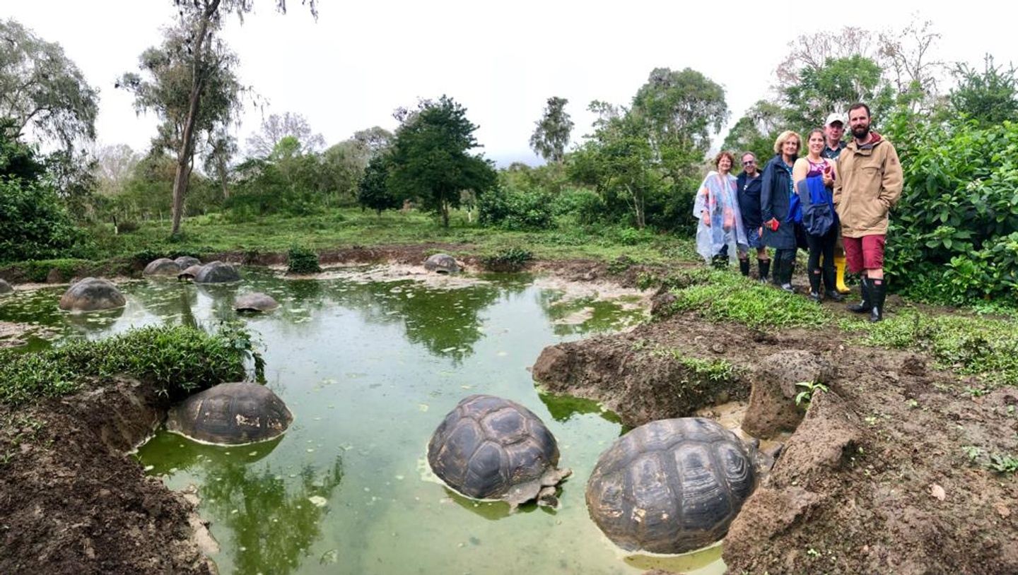 Galapagos Giant Tortoise Experience | Private Tour