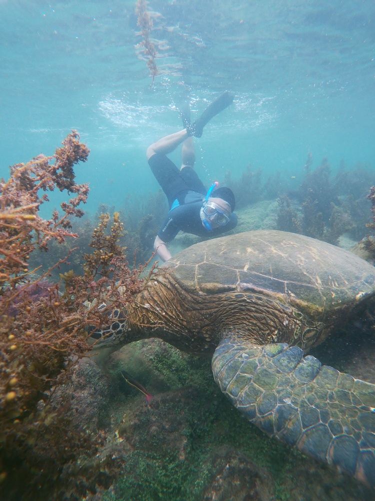 6 DAYS GALAPAGOS ISLANDS EPIC EXCURSION plus