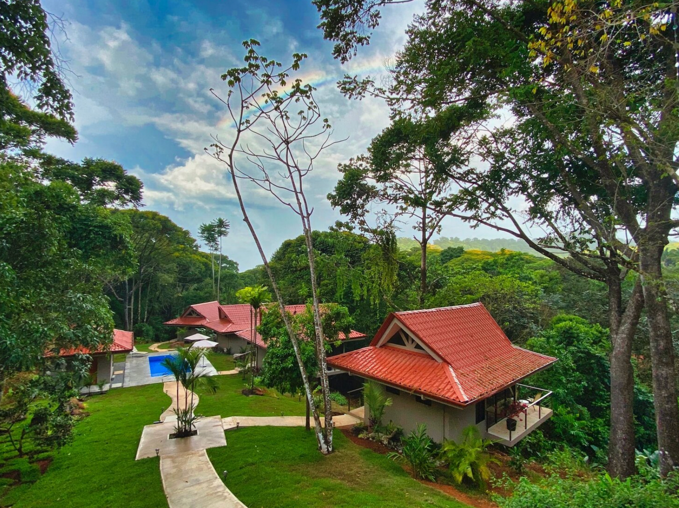 Pura Vida: Retreat to Costa Rica