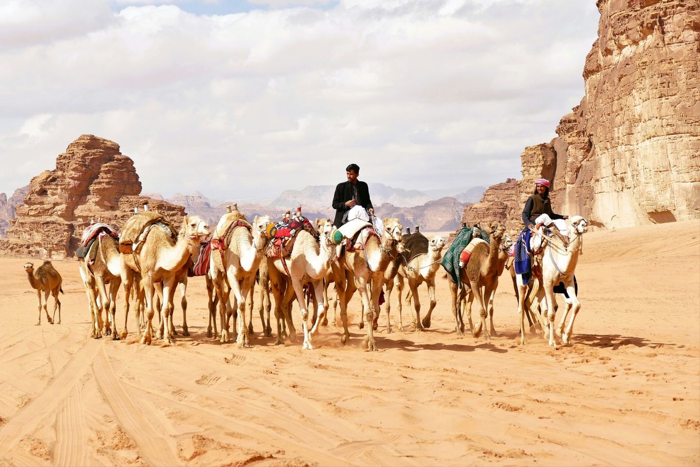 Camel Trekking in Wadi Rum Jordan:  A Journey Through Time