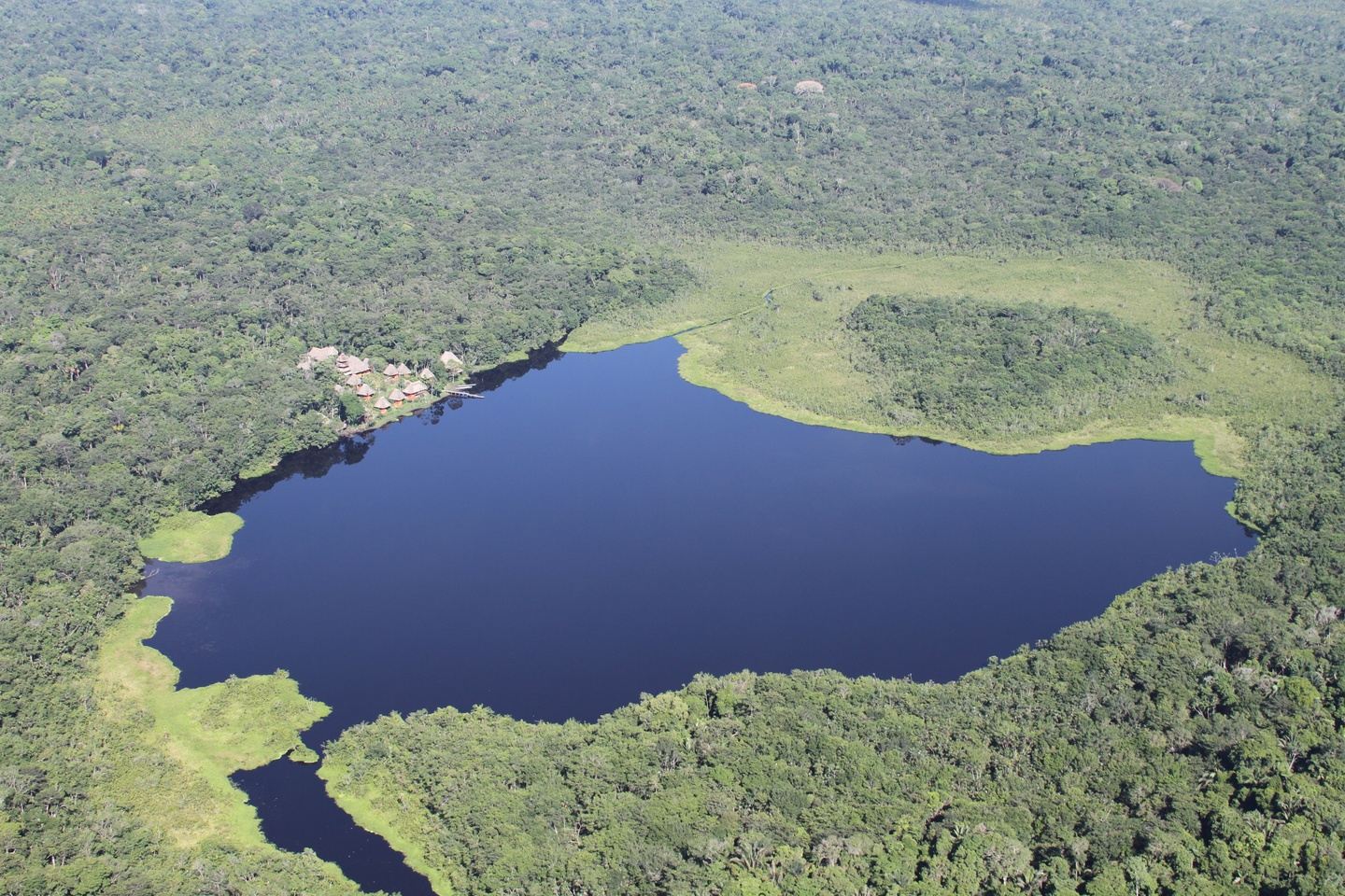 Wildlife of Yasuni, Napo Wildlife Center, Jewels of Amazonian Ecuador