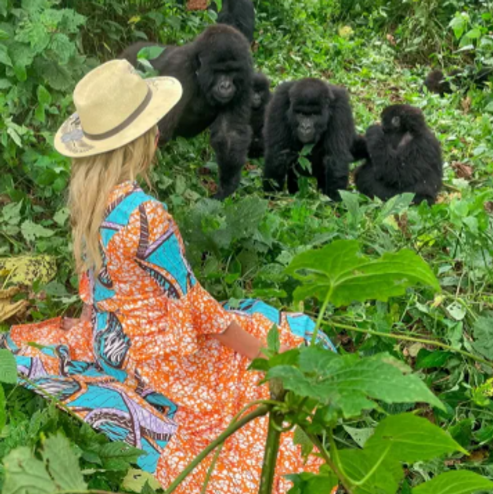 Congo, Uganda, Rwanda Gorillas & Safari