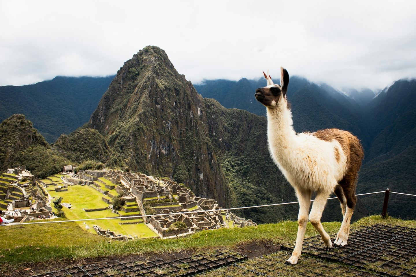 TNN's Epic Peruvian Odyssey