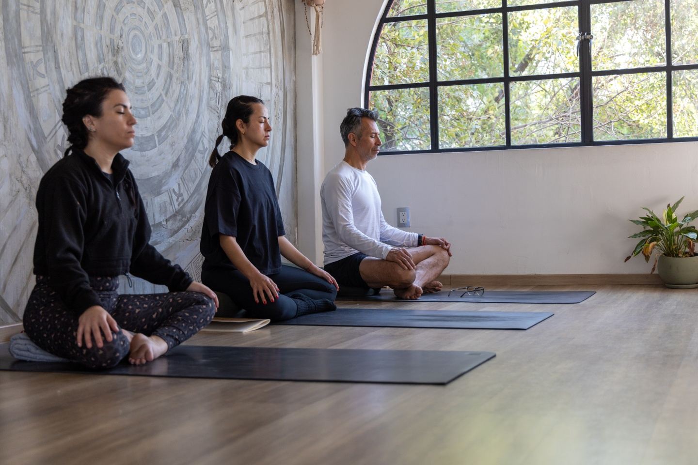 Awareness Yoga  Teacher Training 200 hrs.  - Modular
