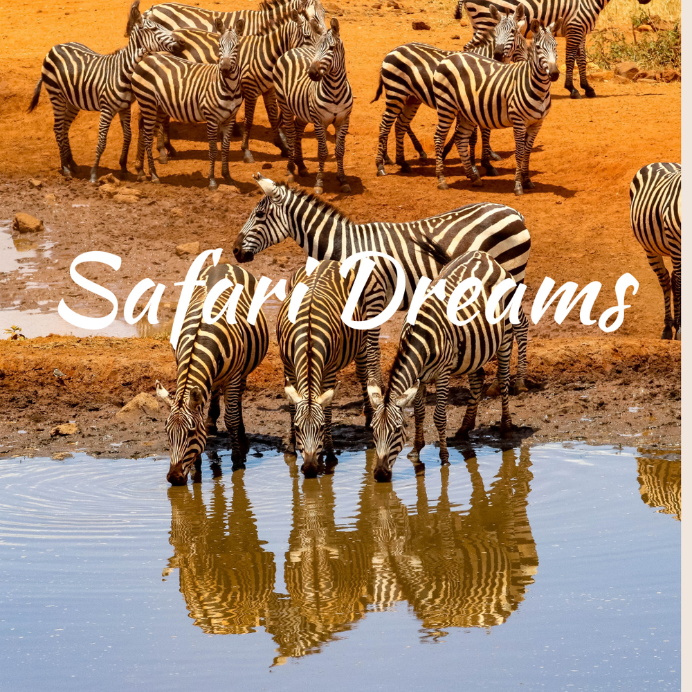 Safari Dreams