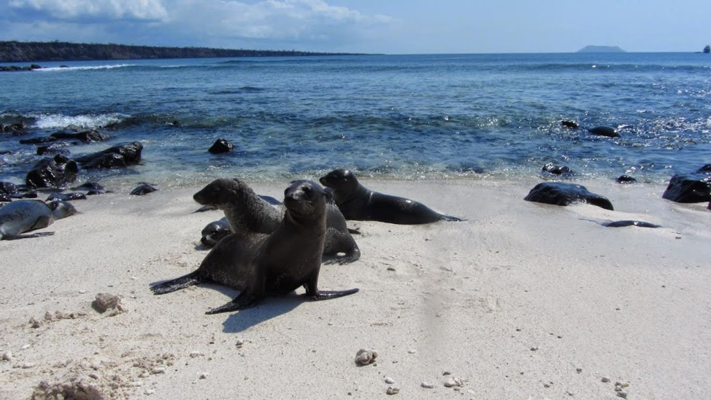 Galapagos Yoga + Wildlife Adventure with Maile Sivert