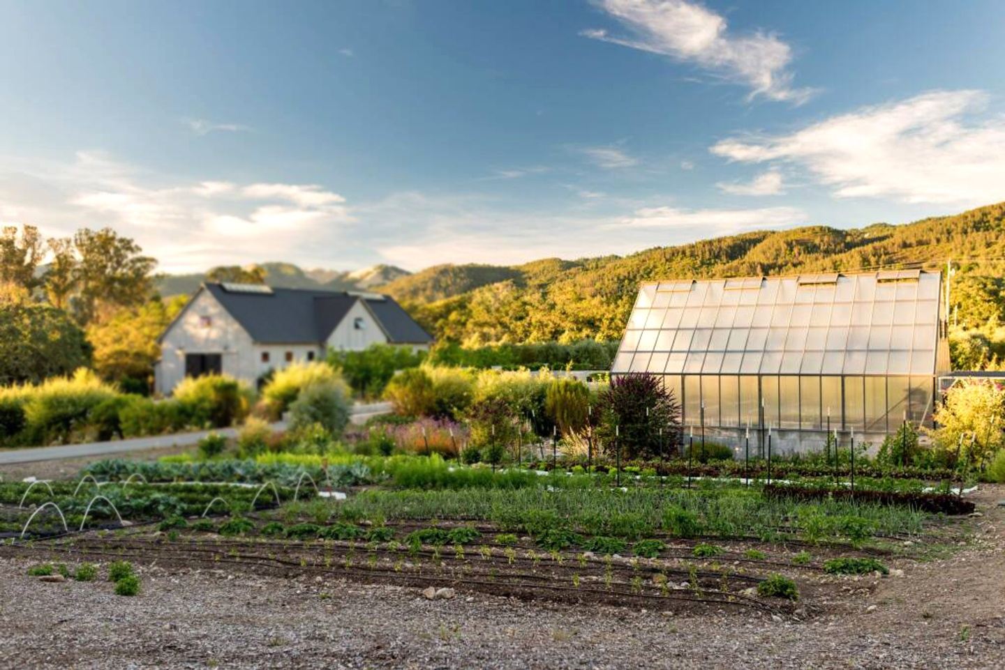 Spring time! Yoga & Lunch at Flatbed Farm