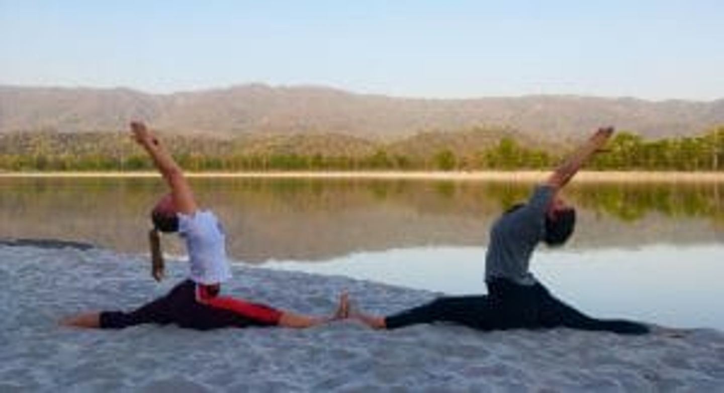 Online Live/Self-Paced Hatha Yoga Teacher Training