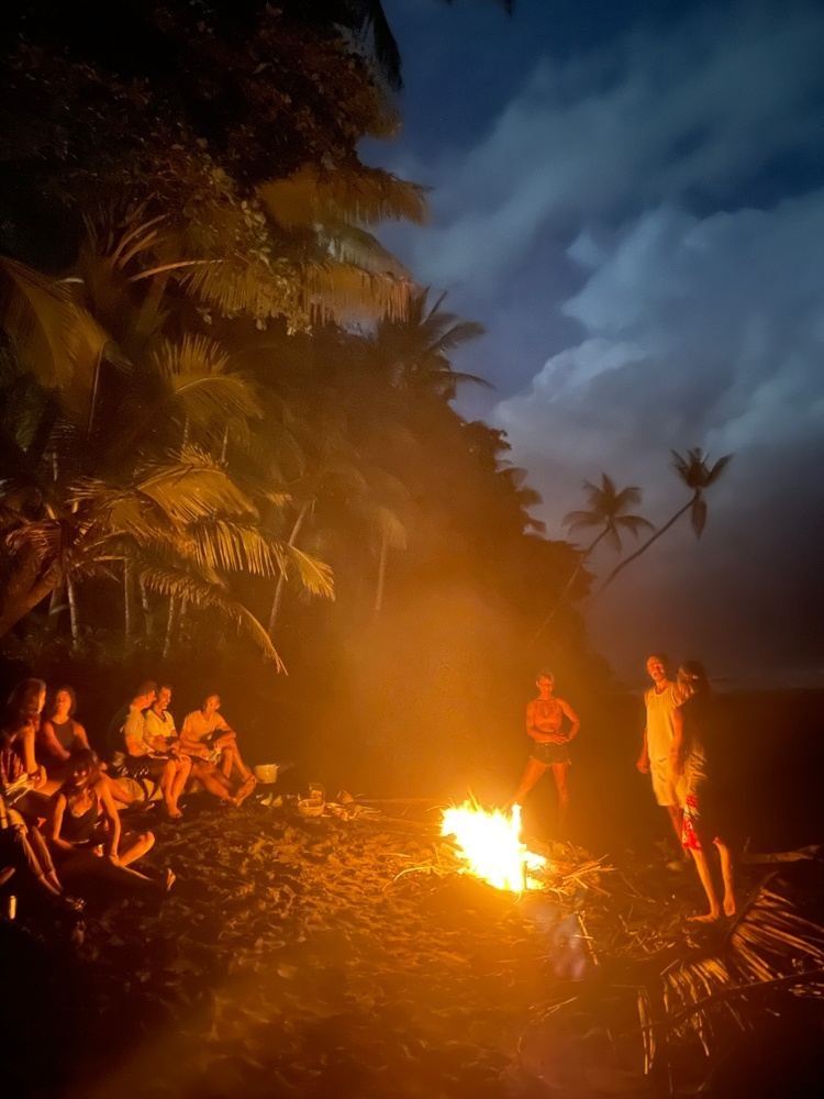 Jungle Residency at The Yoga Farm // JULY 2025