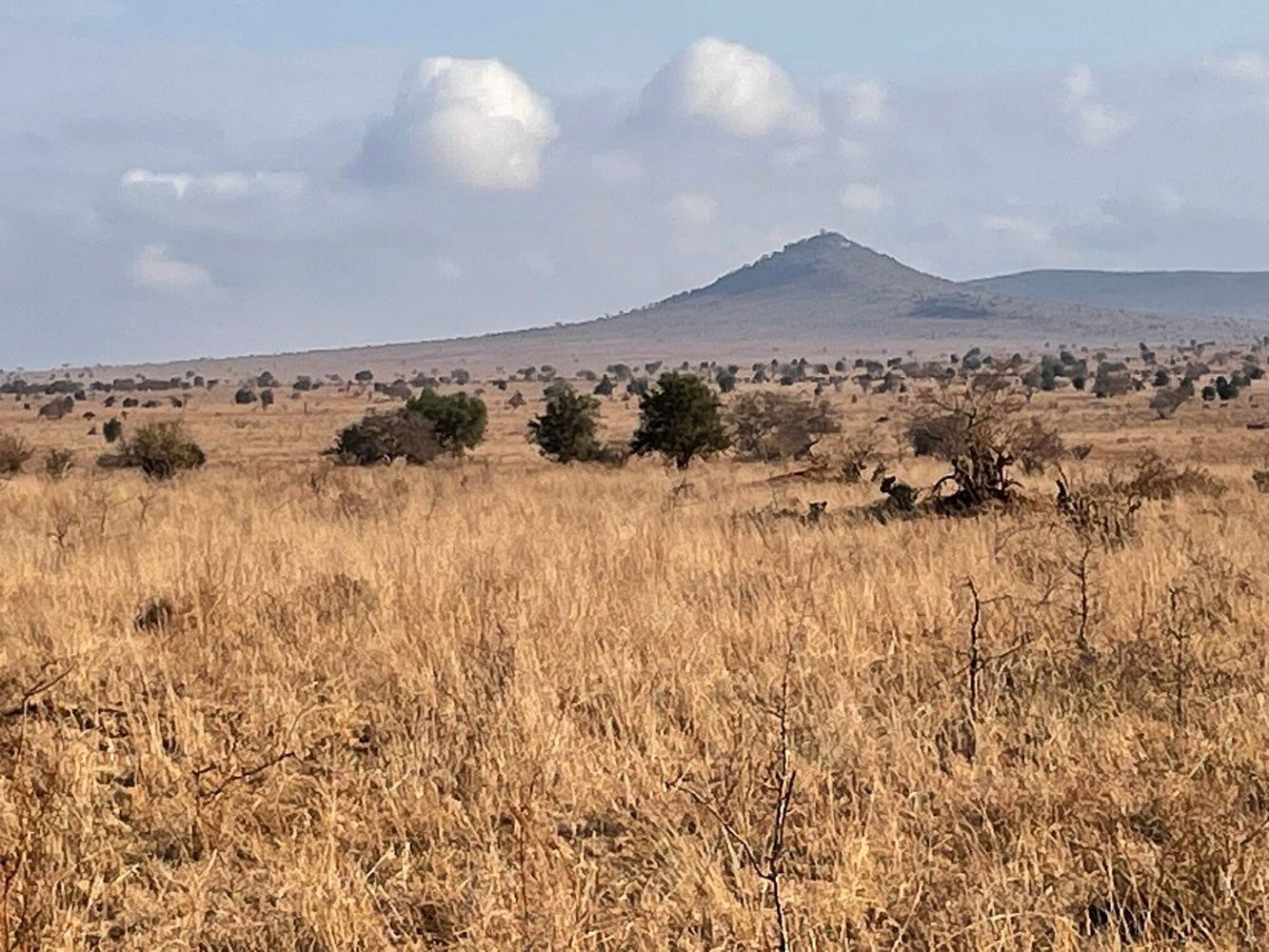 6 days masai mara nakuru amboseli safari