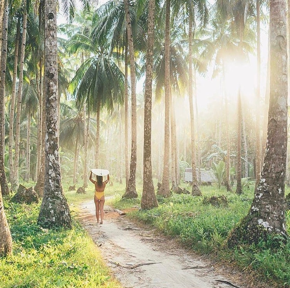 Siargao Immersion Surf + Yoga + Saving Puppies Retreat in Siargao