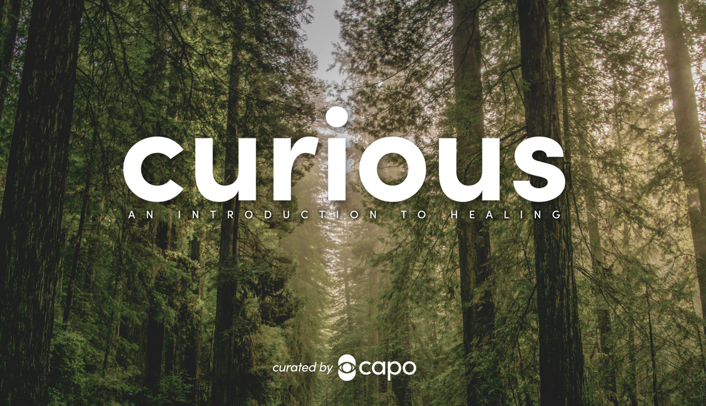 Curious: An Introduction to Wellness