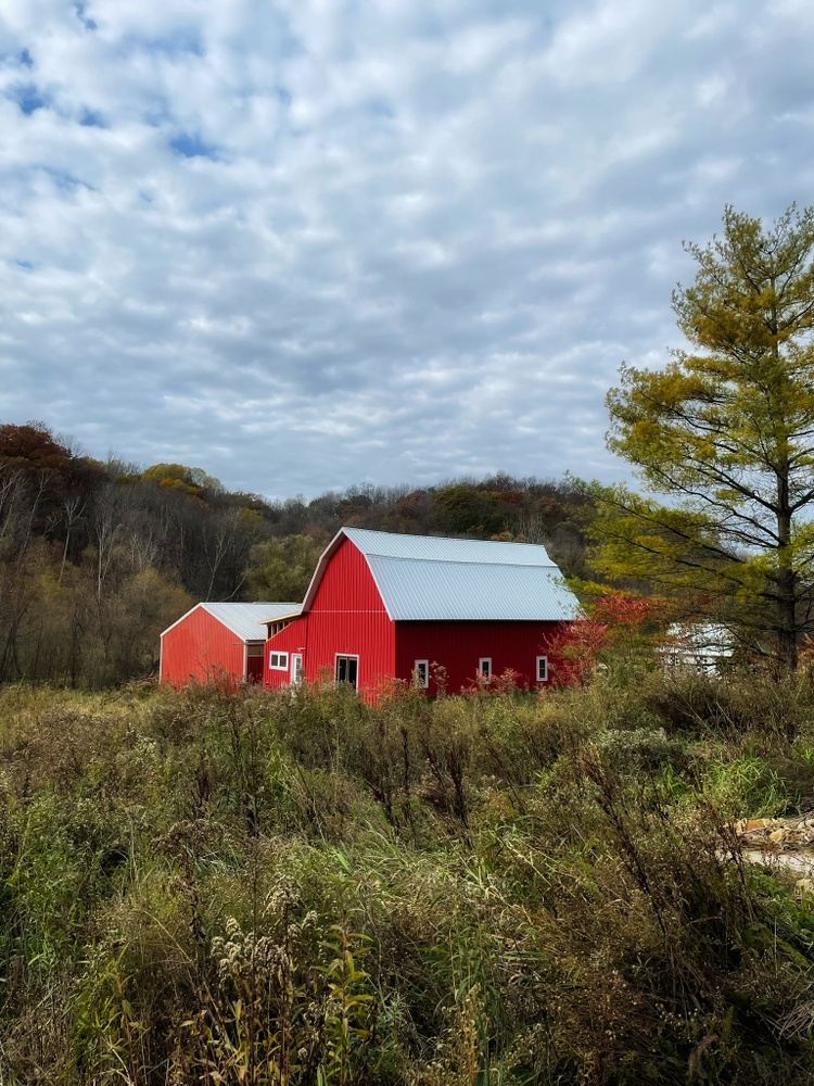 The Art of Noticing Watercolor and the Landscape With Leslie Baum in