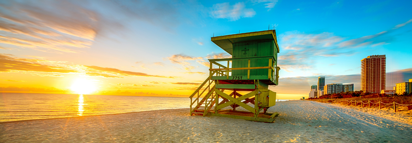 Plant Medicine on the Beach On the Winter Solstice