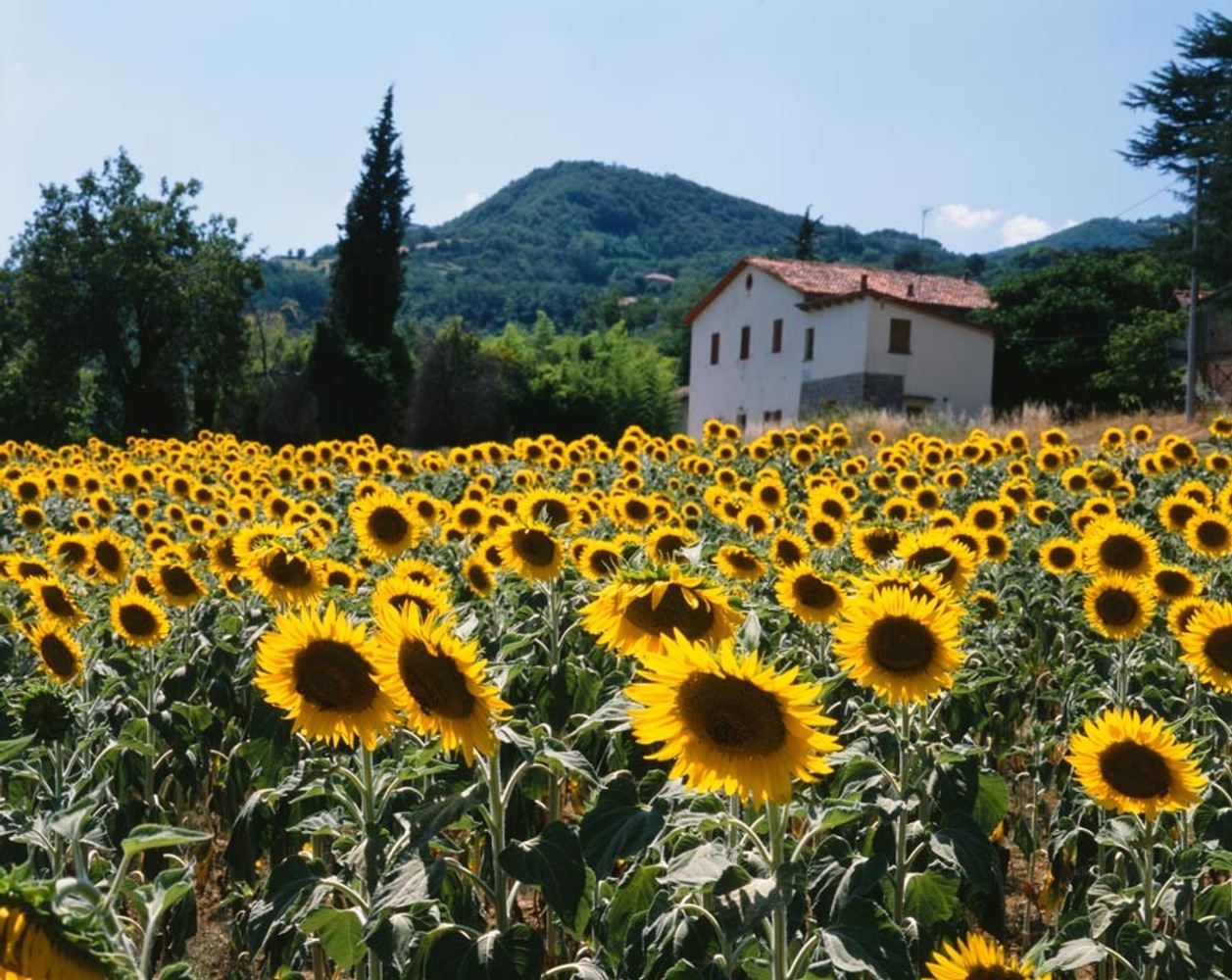 Yoga Retreat in Piobbico, Italy!