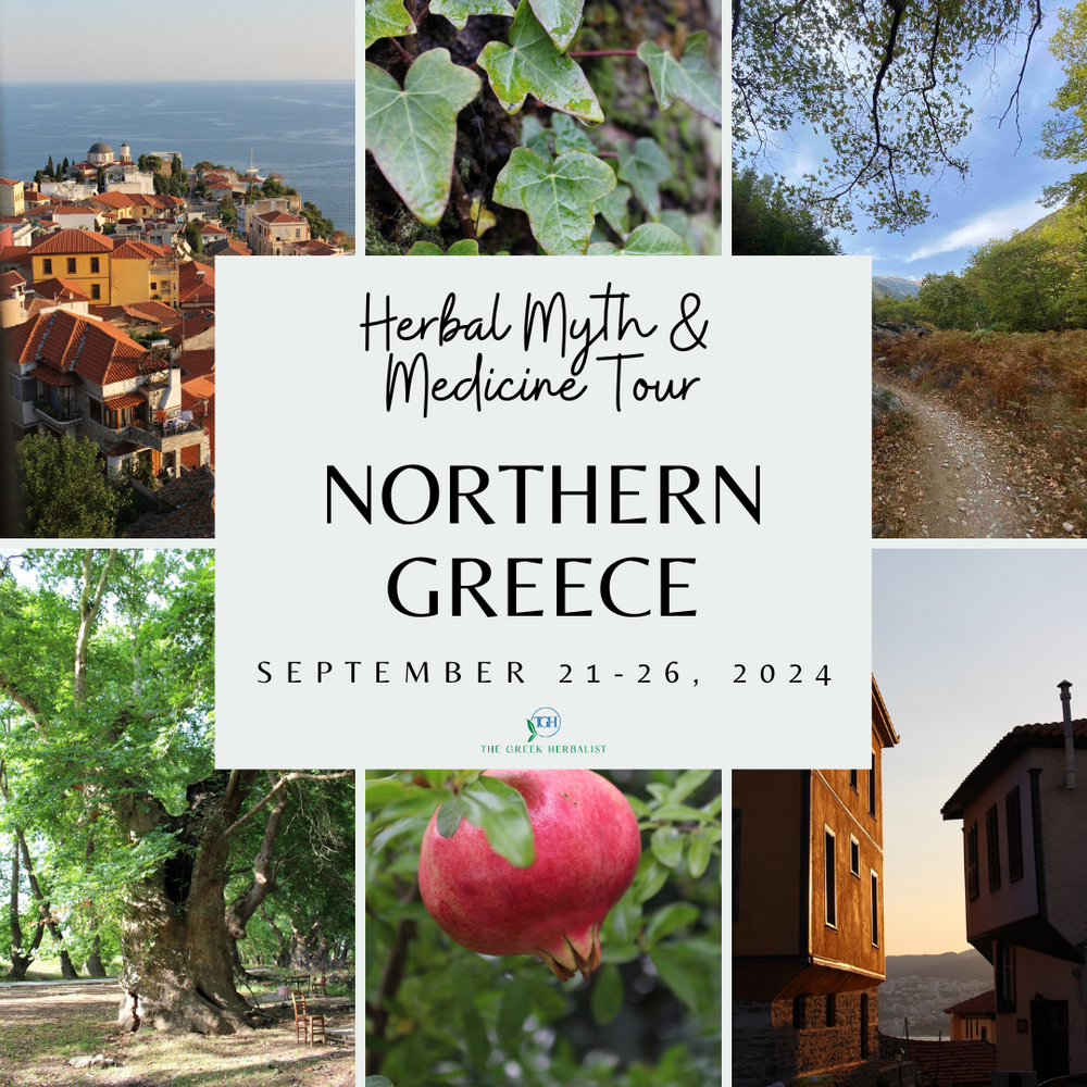 Herbal Myth & Medicine Tour in Northern Greece