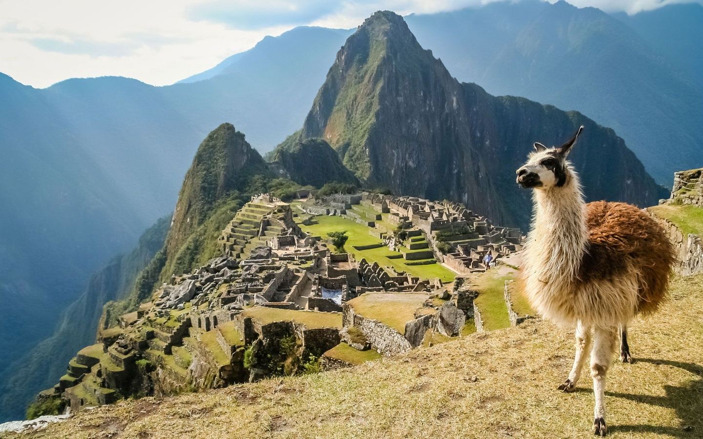 Machu picchu картинки