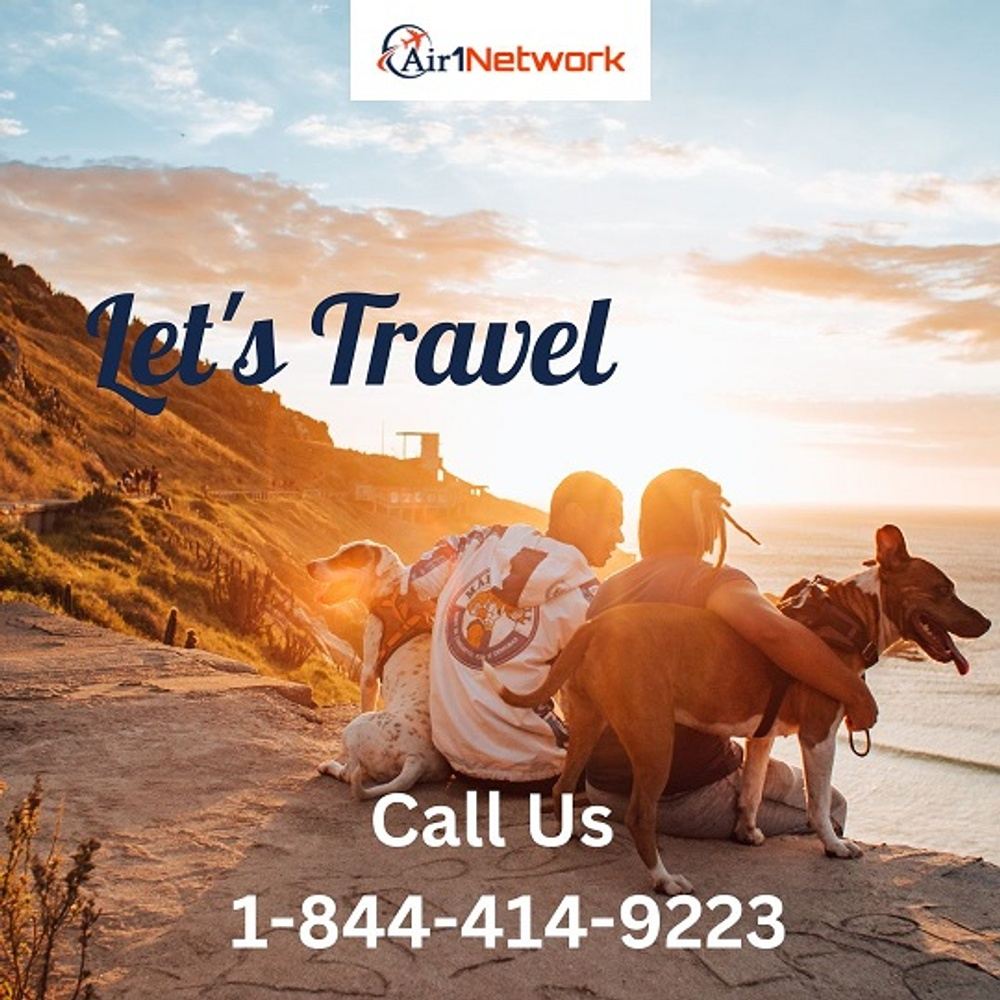 How Do I Add a Pet to my Flight on KLM? in united state