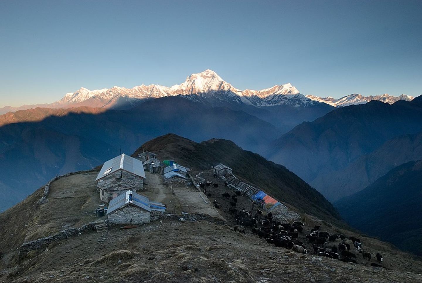 Khopra Ridge Trek in Khopra Ridge