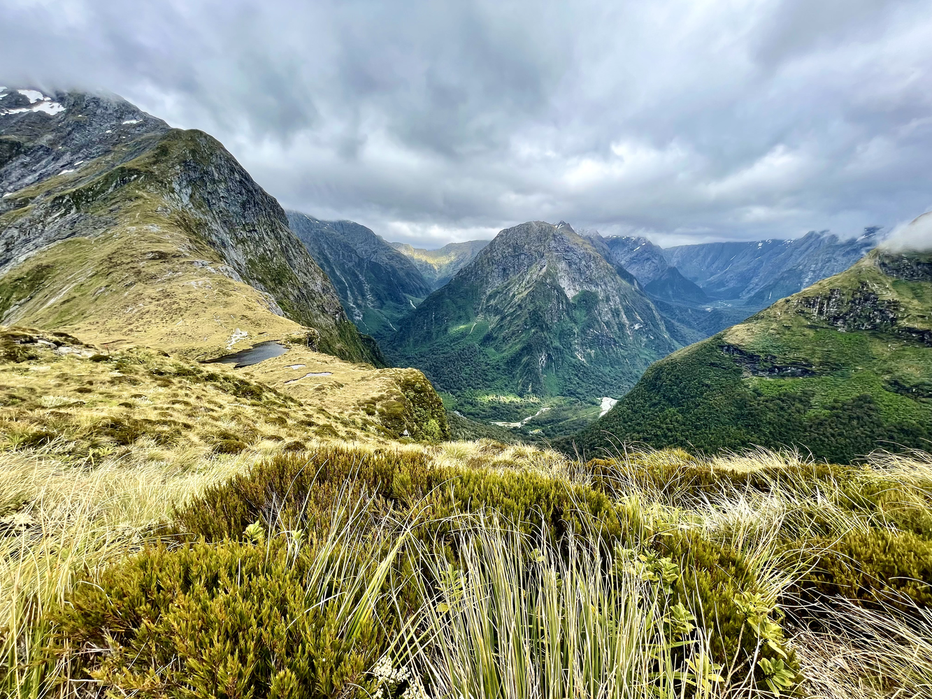Fall 2025, 10-week New Zealand Young Adult Program, All Genders