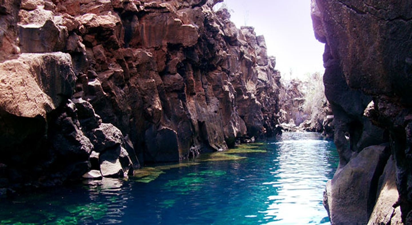 GALÁPAGOS DESDE SANTA CRUZ VIAJE DE 4 DÍAS Y 3 NOCHES
