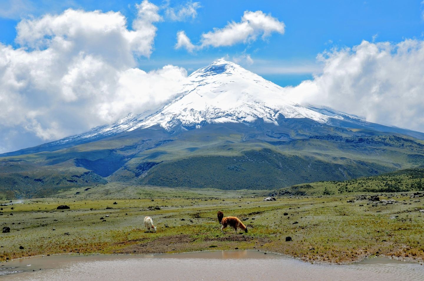 COTOPAXI AND QUILOTOA - 3 DAYS