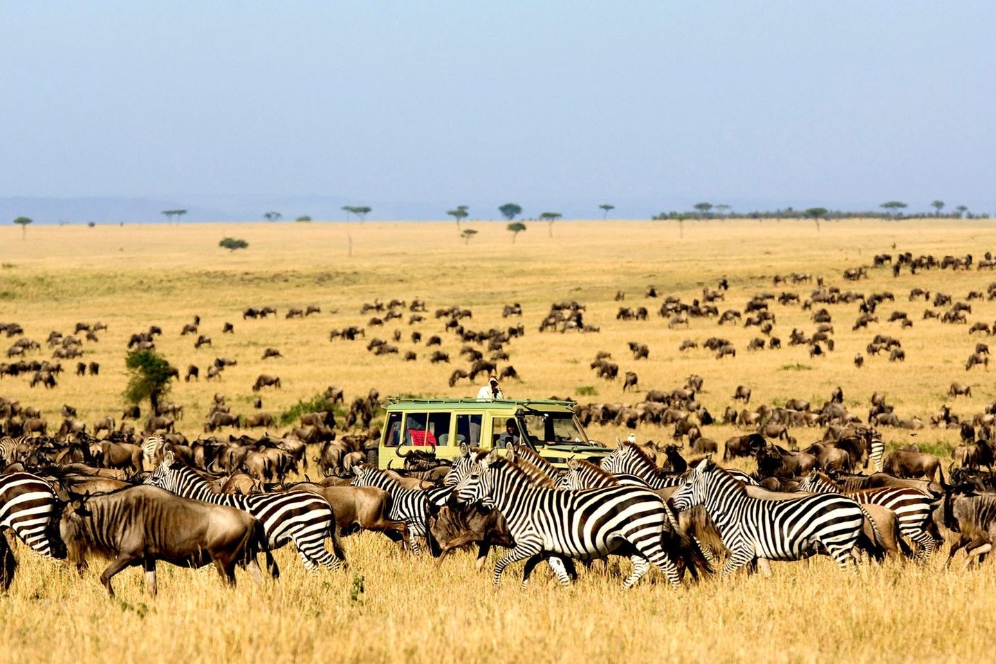 Explore 5 Days Tanzania Serengeti Wildebeest Migration Safari