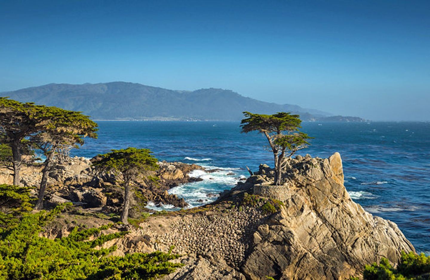 Monterey Seniors' Tour: Spring 2022