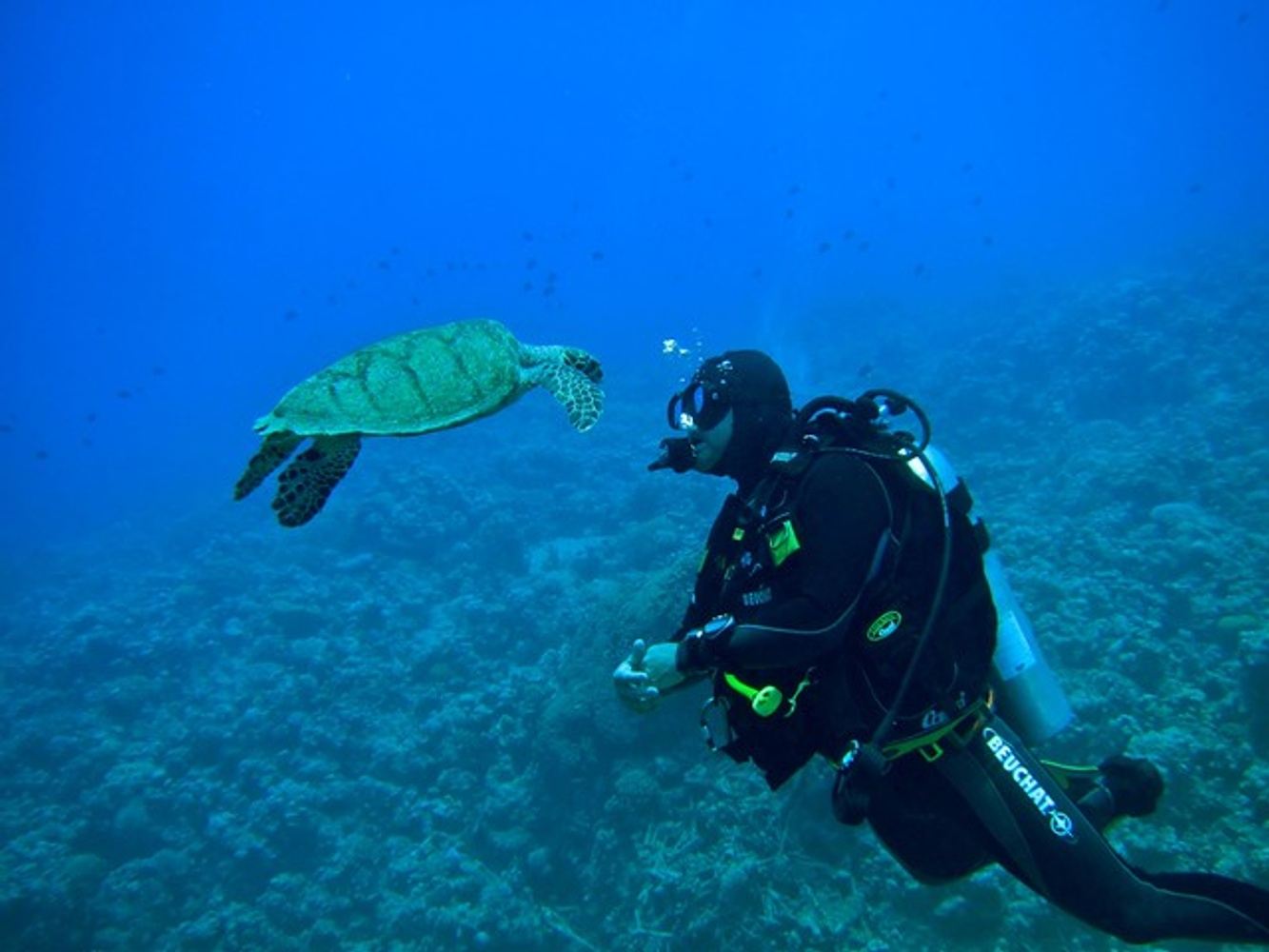 Red Sea Liveaboard