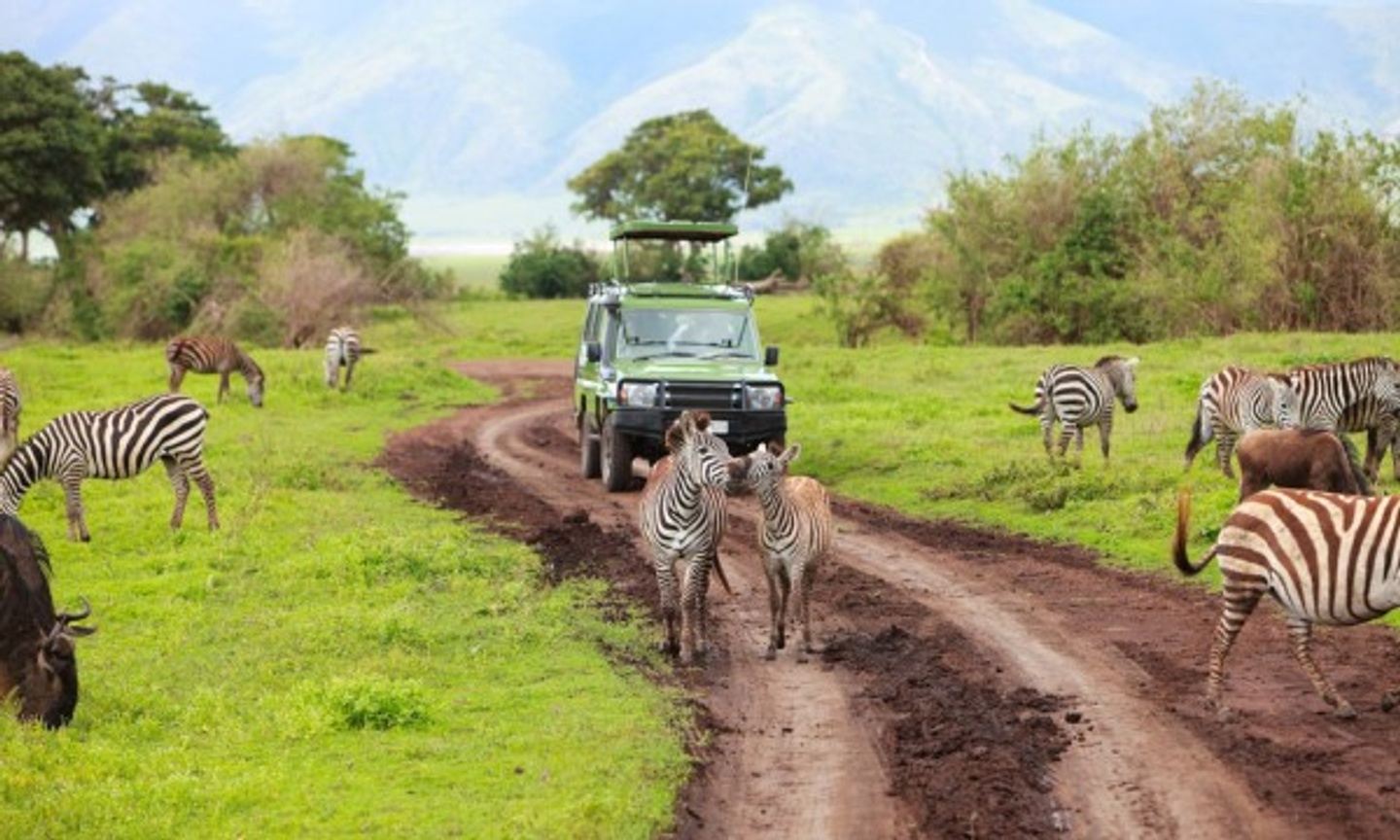 Tanzania Private Big 5 (Four) 4 Days Tanzania Safari Royal tour