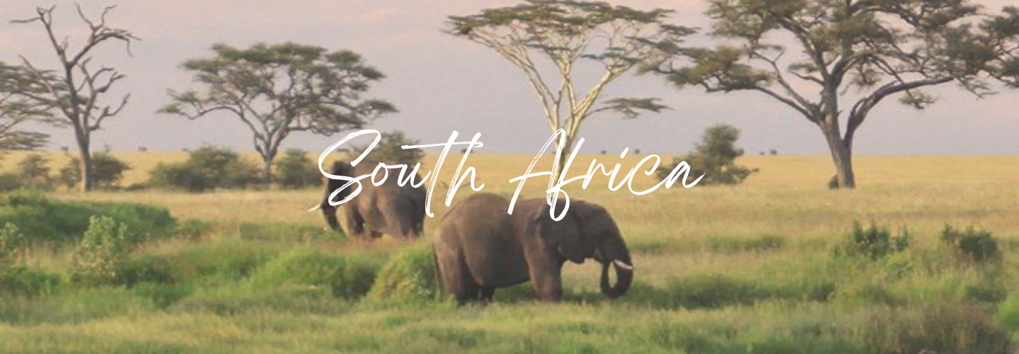 South Africa Softly Wild Retreat