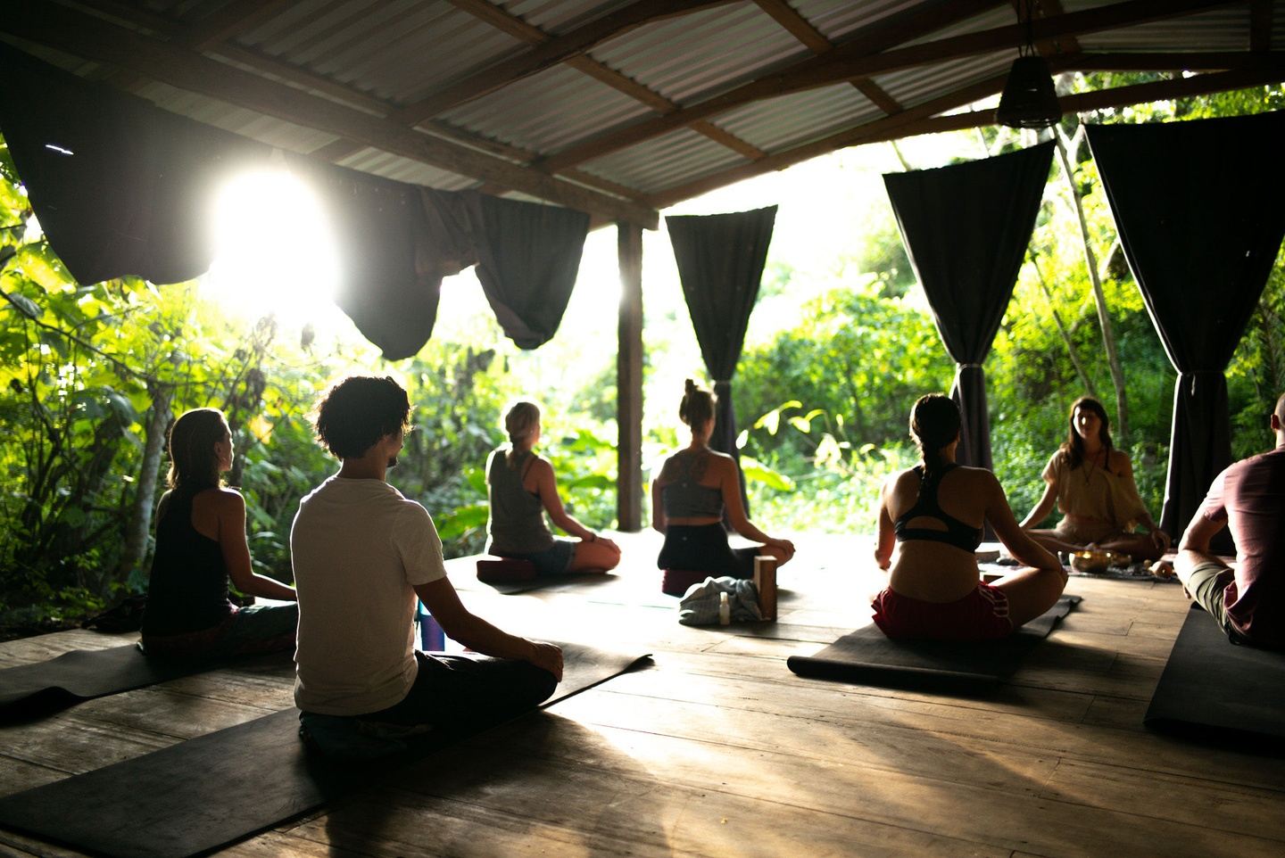 Roots & Renewal: A Sacred Journey Through Nature's Wisdom