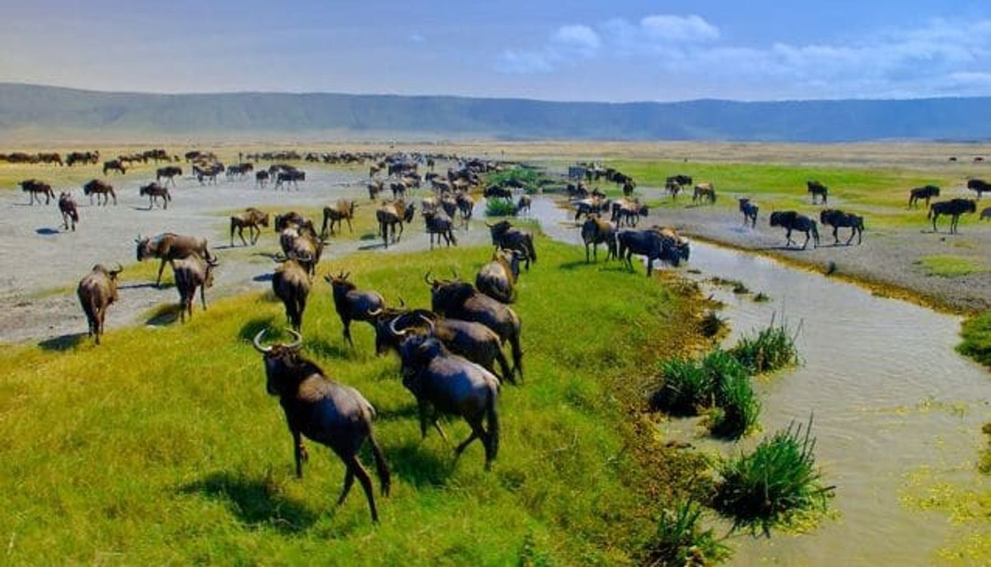 8 Days, 7 Nights Kenya And Tanzania Private Budget Camping Safari