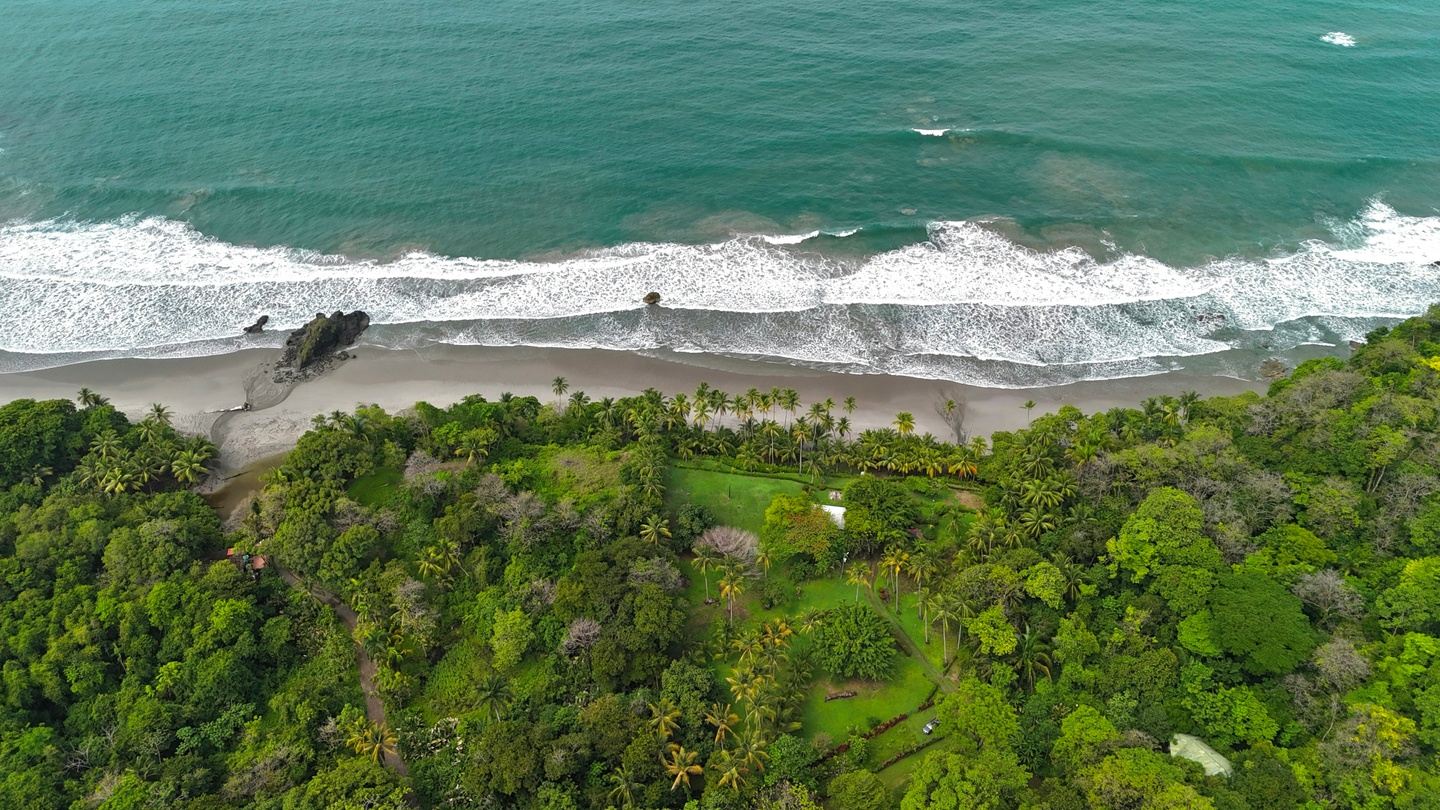 Manuel Antonio Guiding Walk