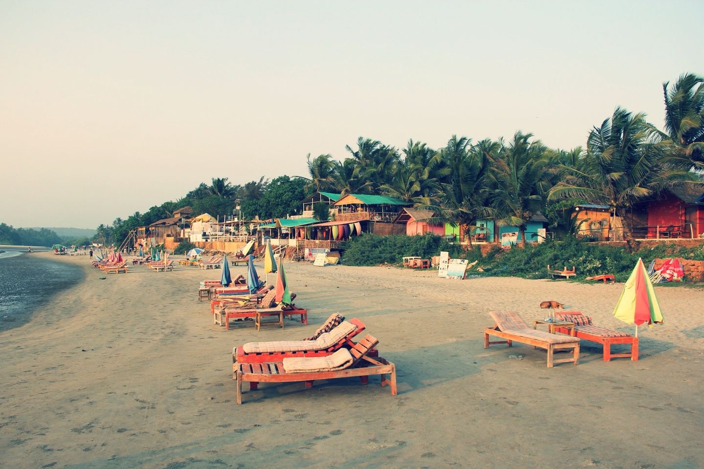 Yoga Retreat in North Goa, India
