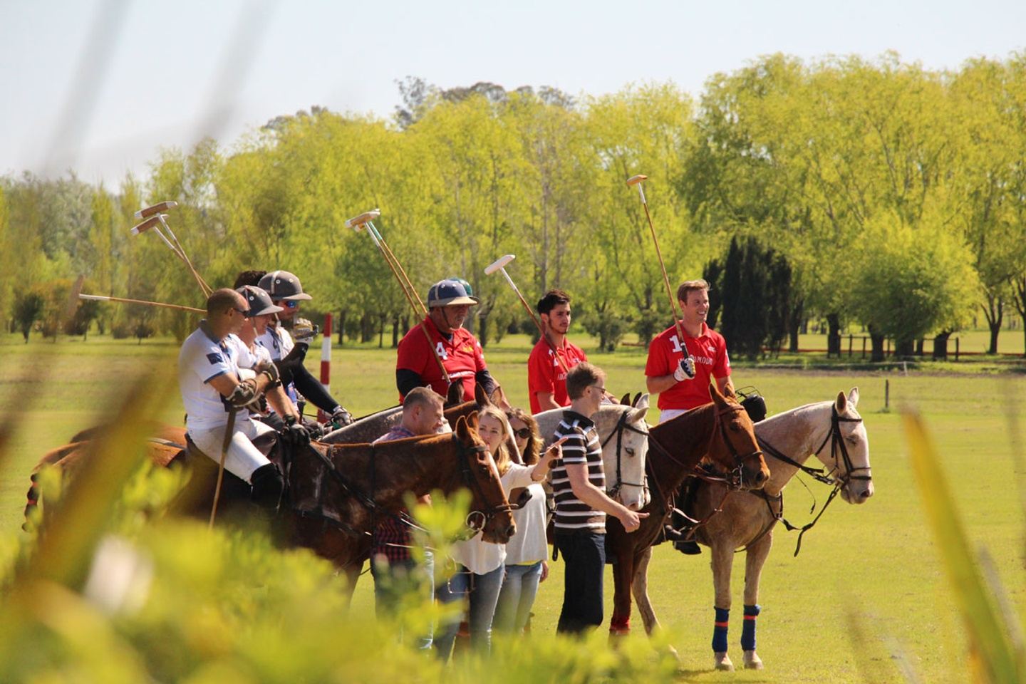 Polo day