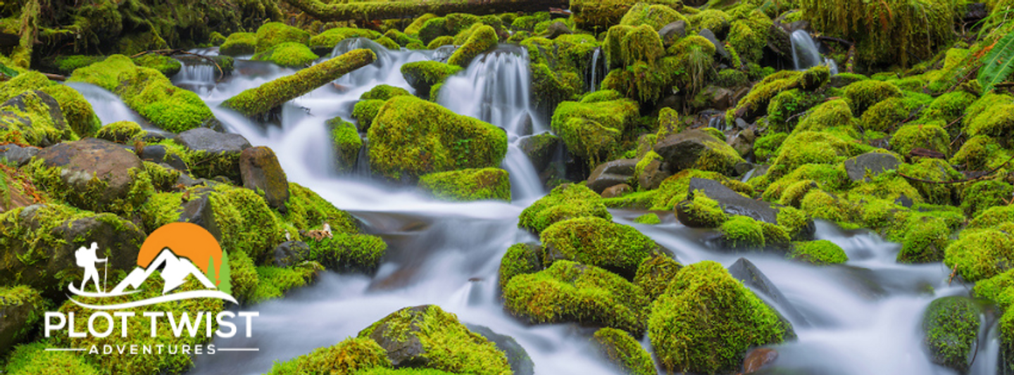 Olympic National Park - Camp, Hike & Paddle